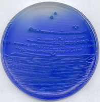 CHINA BLUE-LACTOSE AGAR FOR MICROBIOLOGY